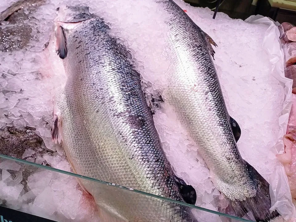 三文鱼, photo 1 of 2