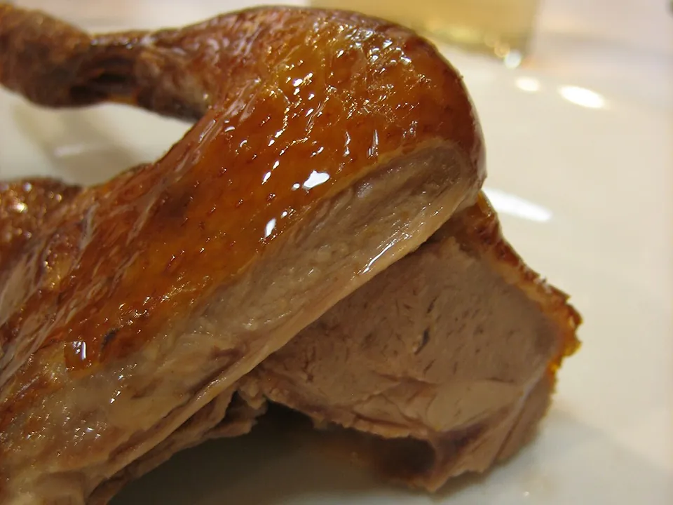 乳鸽, photo 3 of 3