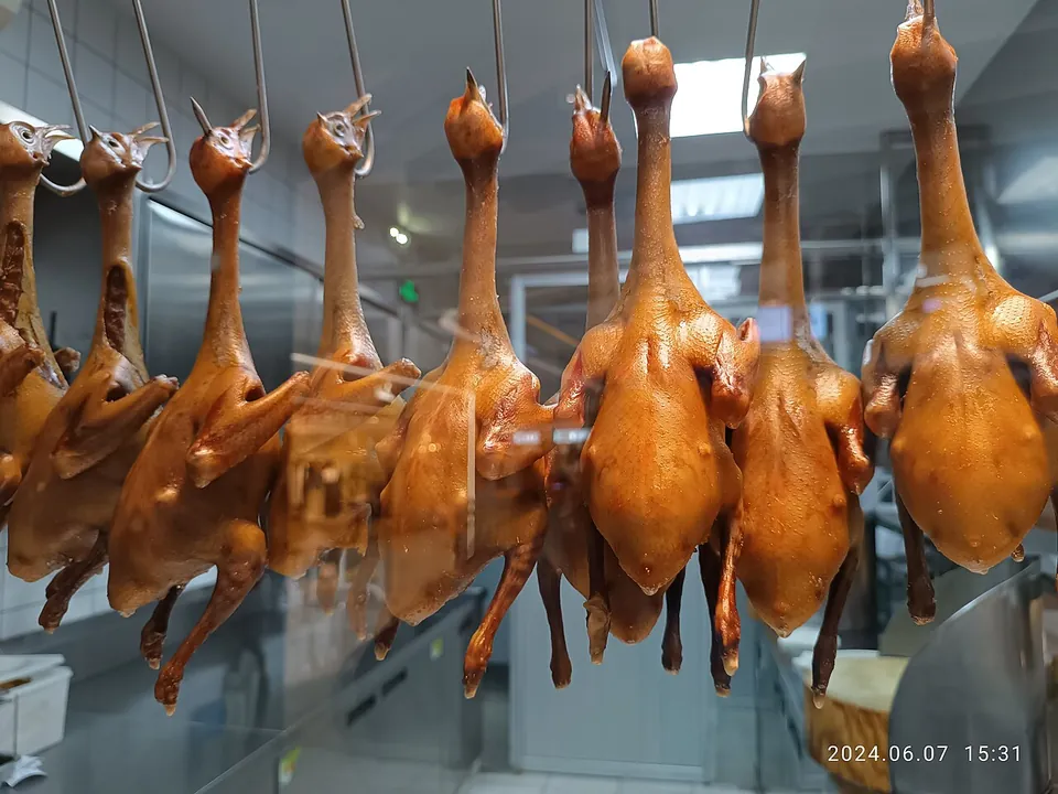 乳鸽, photo 2 of 3