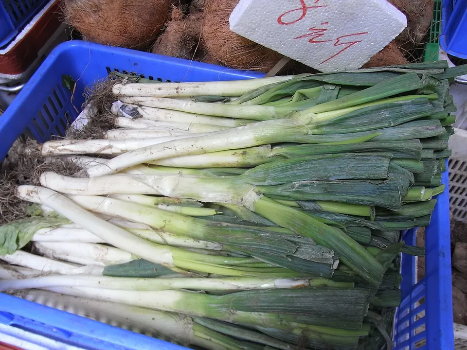 大葱, photo 1 of 2