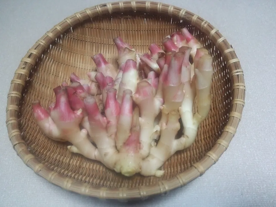 姜, photo 3 of 3