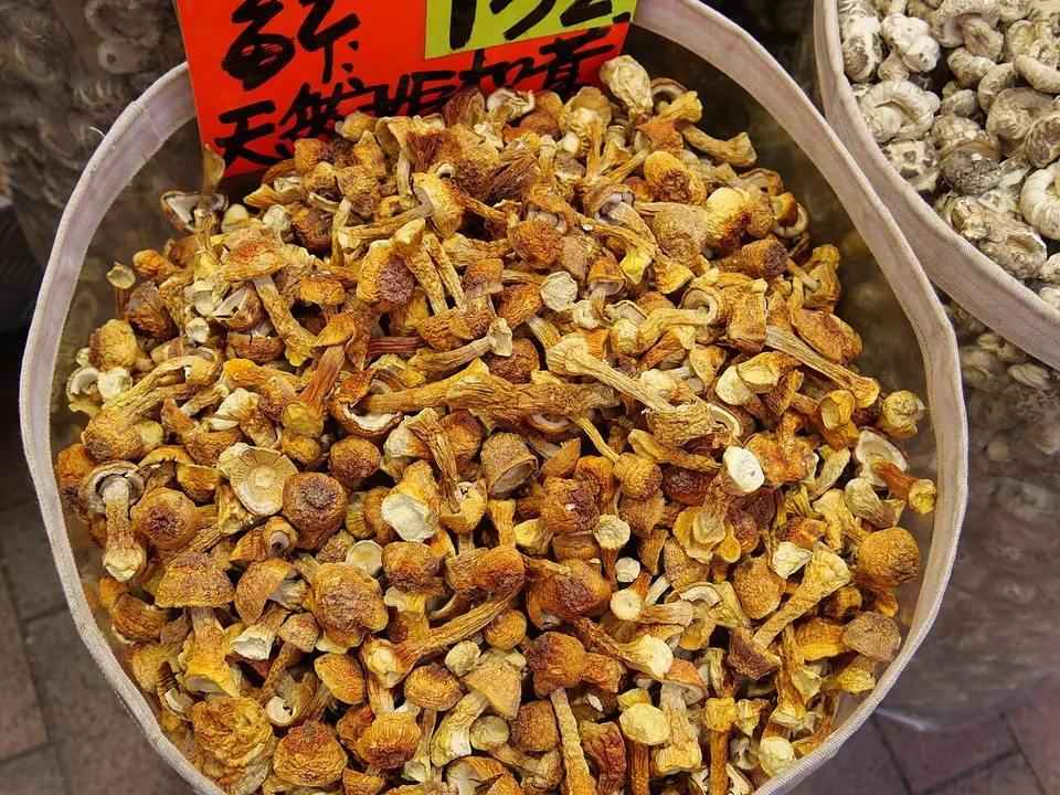 姬松茸, photo 2 of 2