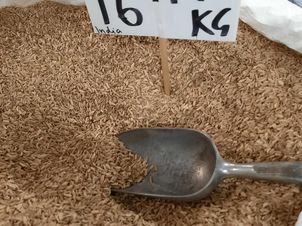 小茴香, photo 2 of 3