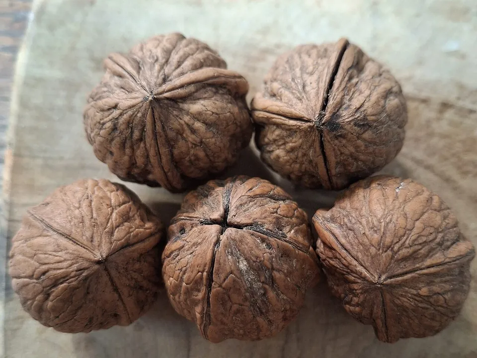 核桃, photo 2 of 2