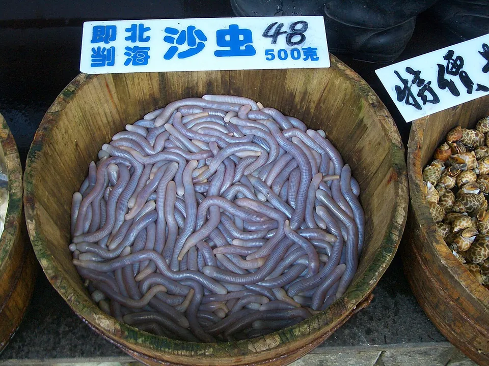 沙虫, photo 1 of 2