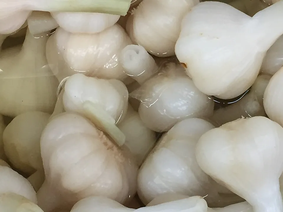 糖蒜, photo 1 of 2