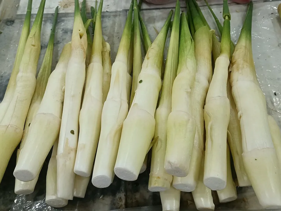 茭白, photo 1 of 3