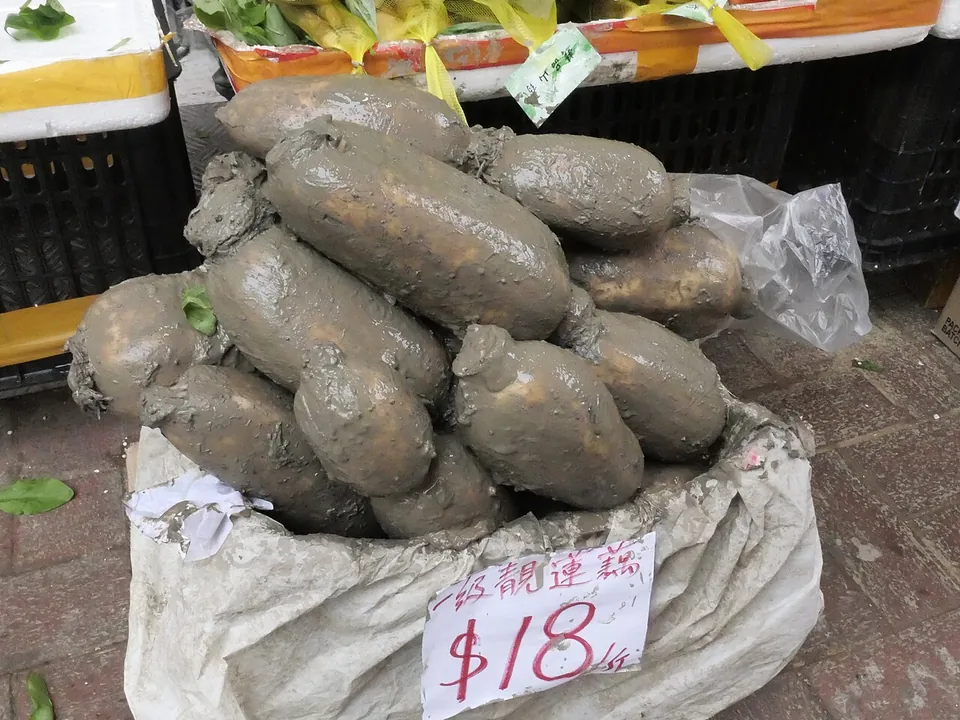 莲藕, photo 3 of 3