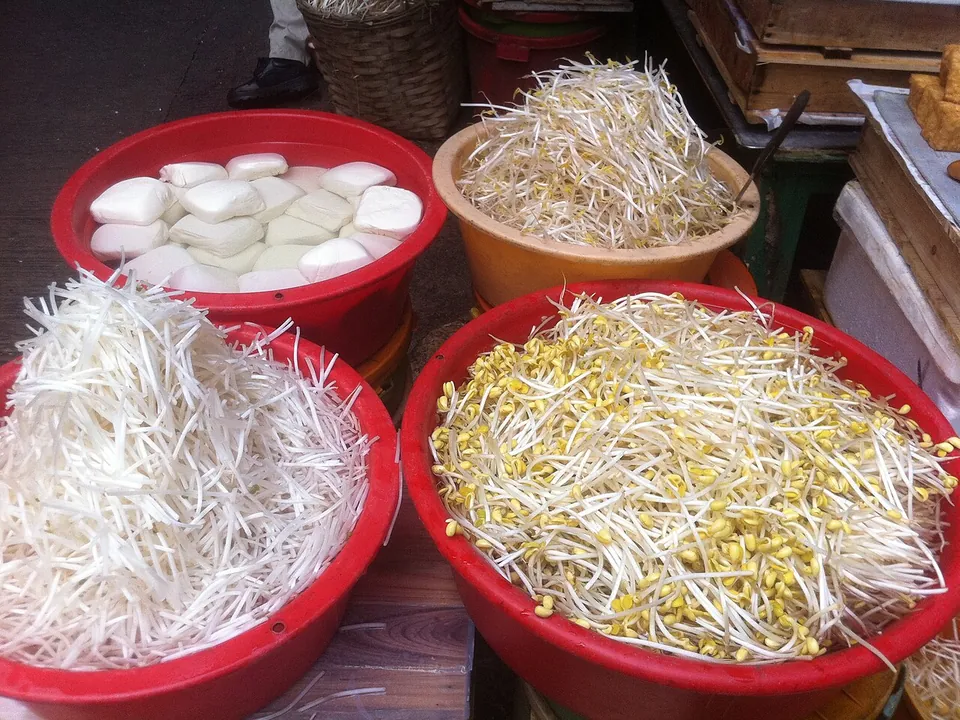豆芽, photo 2 of 3