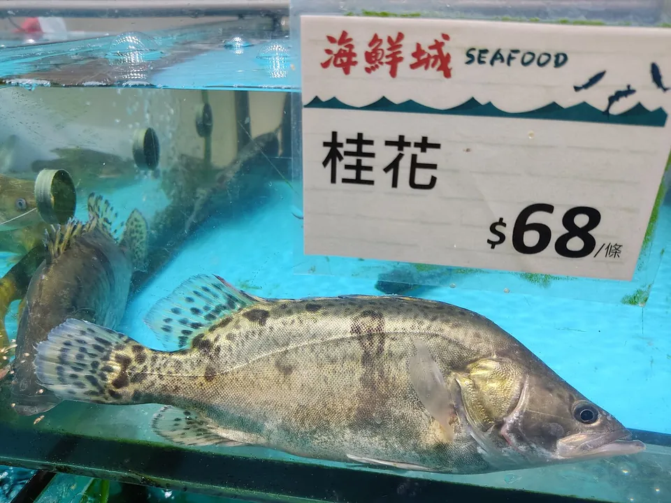 鳜鱼, photo 2 of 3