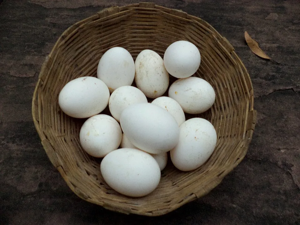 鸡蛋, photo 1 of 3