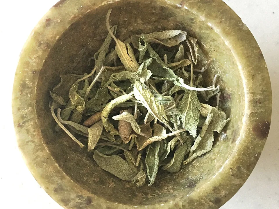 鼠尾草, photo 2 of 2