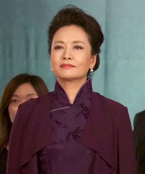 Peng Liyuan, photo 2 of 2