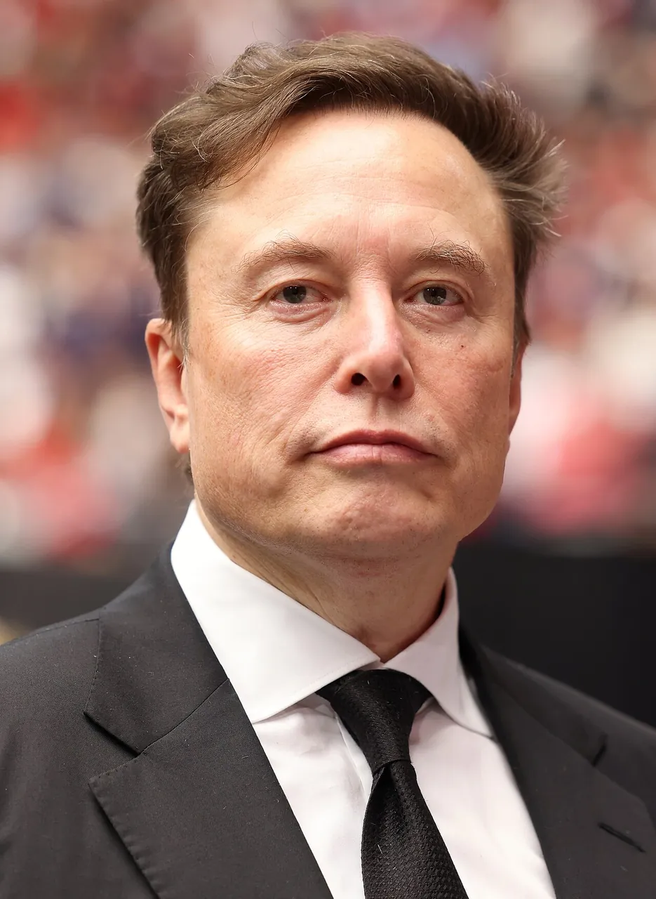 Elon Musk, photo 1 of 2